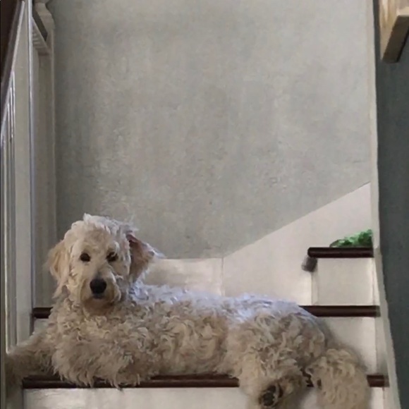 Meet your Posher, Linda - Picture 1 of 1